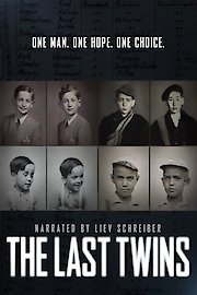 The Last Twins poster