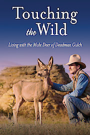 Touching the Wild: Living with the Mule Deer of Deadman Gulch