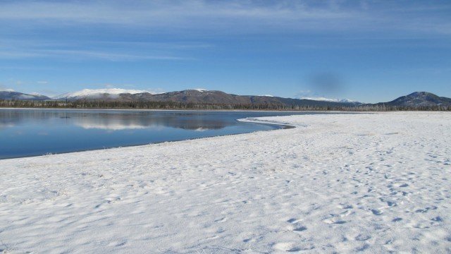 Watch Salt - Tears of the Earth Online