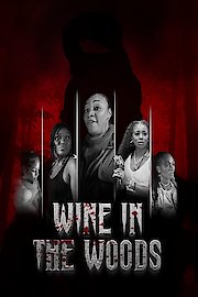 Wine in the Woods poster
