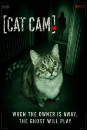 Cat Cam
