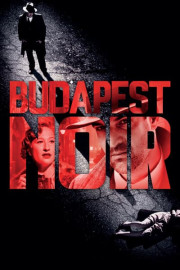 Budapest Noir poster