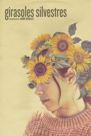 Girasoles Silvestres poster