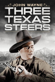 Three Texas Steers