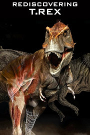 Rediscovering T-Rex