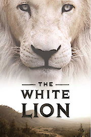 White Lion poster