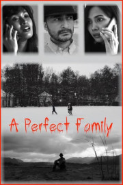 A Perfect Family poster