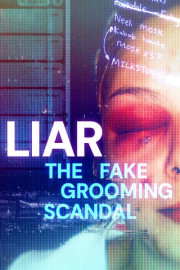 Liar: The Fake Grooming Scandal poster