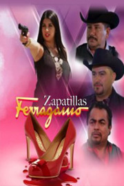 Zapatillas Ferragamo poster