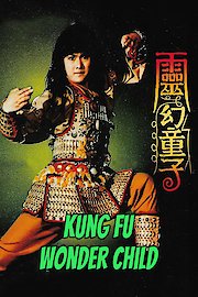 Kung Fu Wonderchild poster