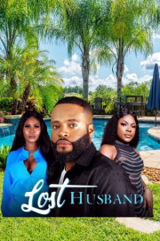 Lost Husband poster