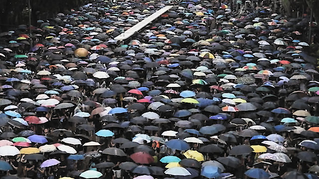 Watch The Hong Konger Online