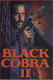 Black Cobra II poster