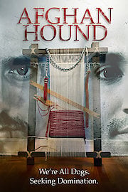 Afghan Hound poster