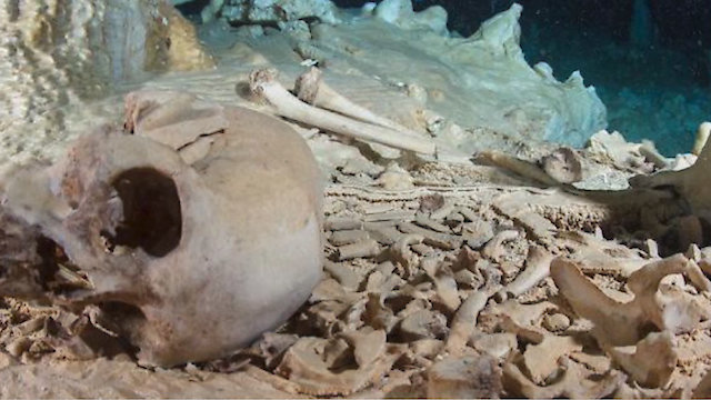 Watch Mysterious Origins: The World's First Humans Online