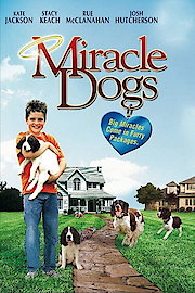 Miracle Dogs poster