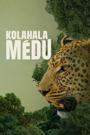 Kolahalamedu