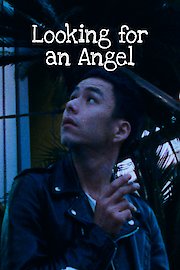 Looking for an Angel