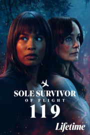 Sole Survivor of Flight 119 poster