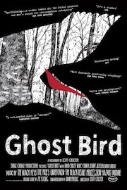 Ghost Bird