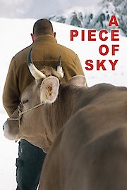 A Piece Of Sky poster