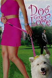 Dog Gone Love