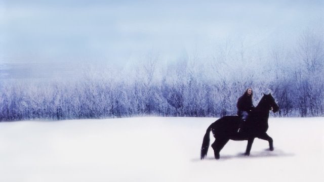 Watch The Winter Stallion Online