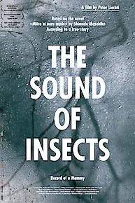 The Sound of Insects