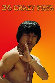36 Crazy Fists poster