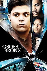Cross Bronx poster