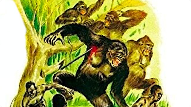 Watch Congolaise Online