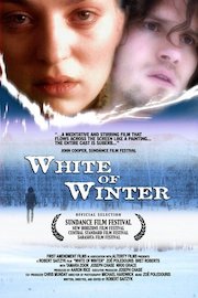 White of Winter poster
