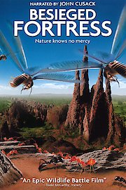 The Besieged Fortress