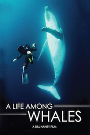 A Life Among Whales poster