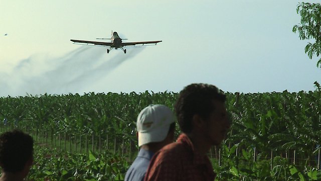 Watch Bananas!* Online