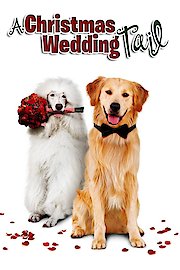 A Christmas Wedding Tail poster