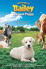 Adventures of Bailey: The Lost Puppy poster