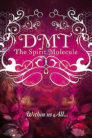 DMT: The Spirit Molecule