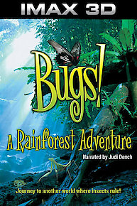 Bugs!: A Rainforest Adventure