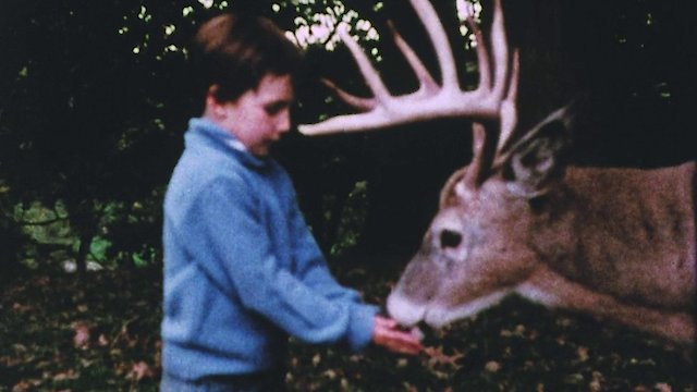 Watch The Hart of London Online