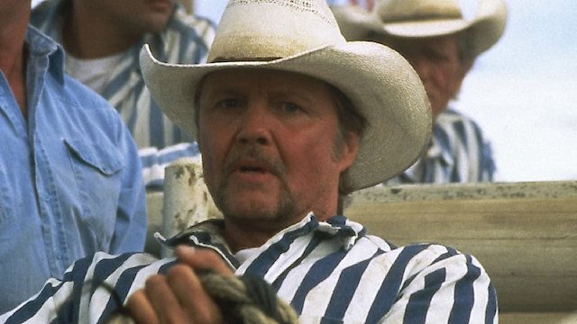 Watch Convict Cowboy Online