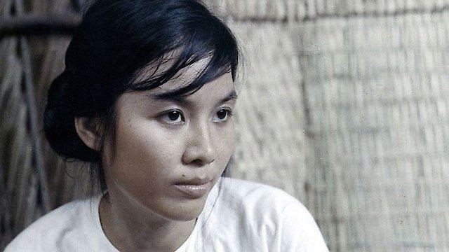 Watch Hoa-Binh Online