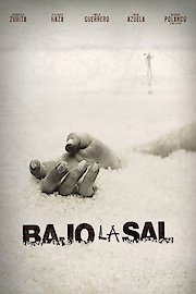 Bajo la Sal poster