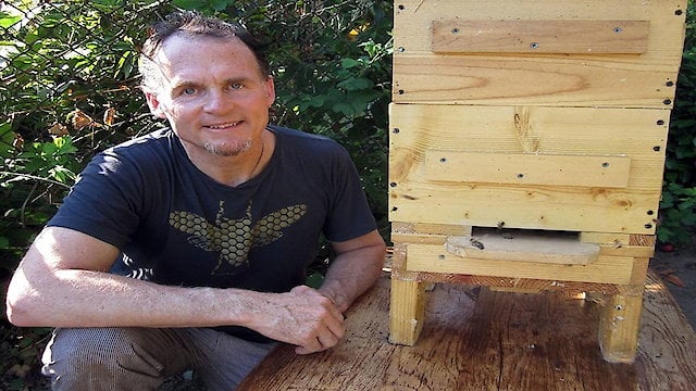 Watch Queen of the Sun: What Are the Bees Telling Us? Online