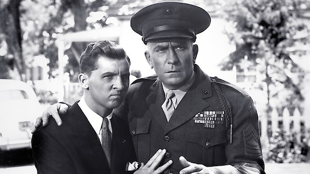 Watch Hail the Conquering Hero Online