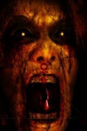 La Llorona 2 poster