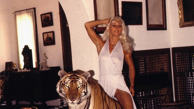 Watch Cat Dancers Online