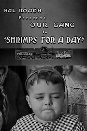 Shrimps for a Day poster