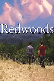 Redwoods poster