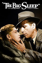 The Big Sleep